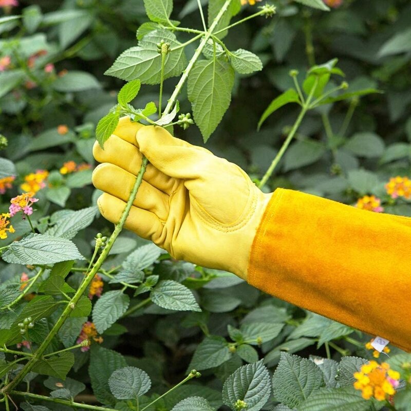 Leather Gardening Gloves Manufacturer - Thorn Cut Proof Long