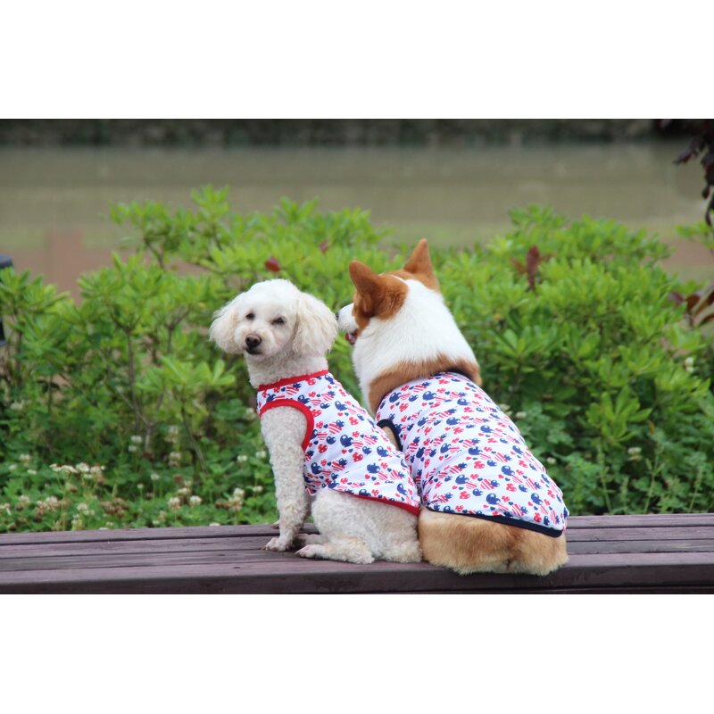 Pet Dog Vest Manufacturer - Factory OEM ODM Custom Cute