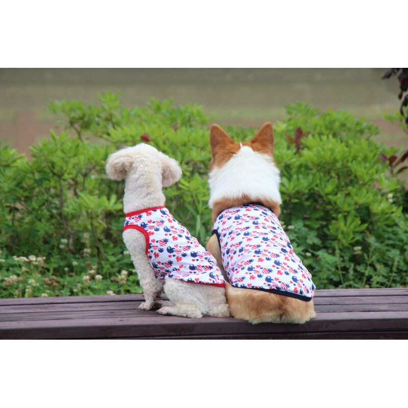 Pet Dog Vest Manufacturer - Factory OEM ODM Custom Cute