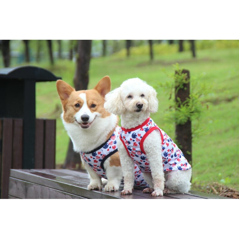 Pet Dog Vest Manufacturer - Factory OEM ODM Custom Cute