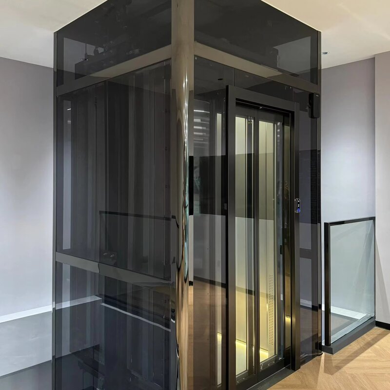 Home Elevator Supplier - Traction Villa Passenger Sightseeing