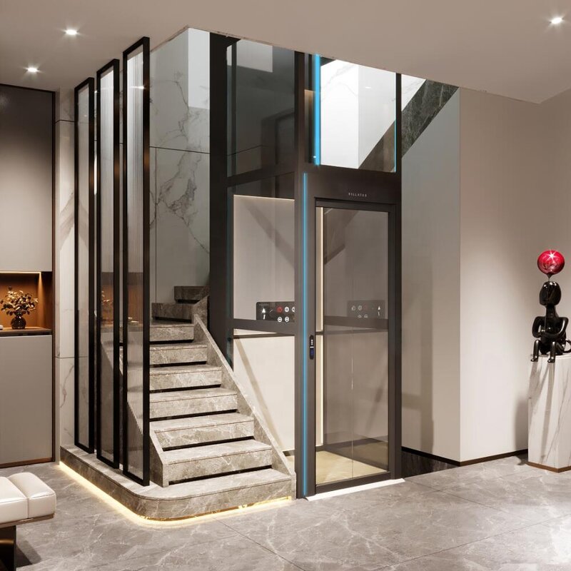 Elevator for Home Manufacturer - Lift with Good Price
