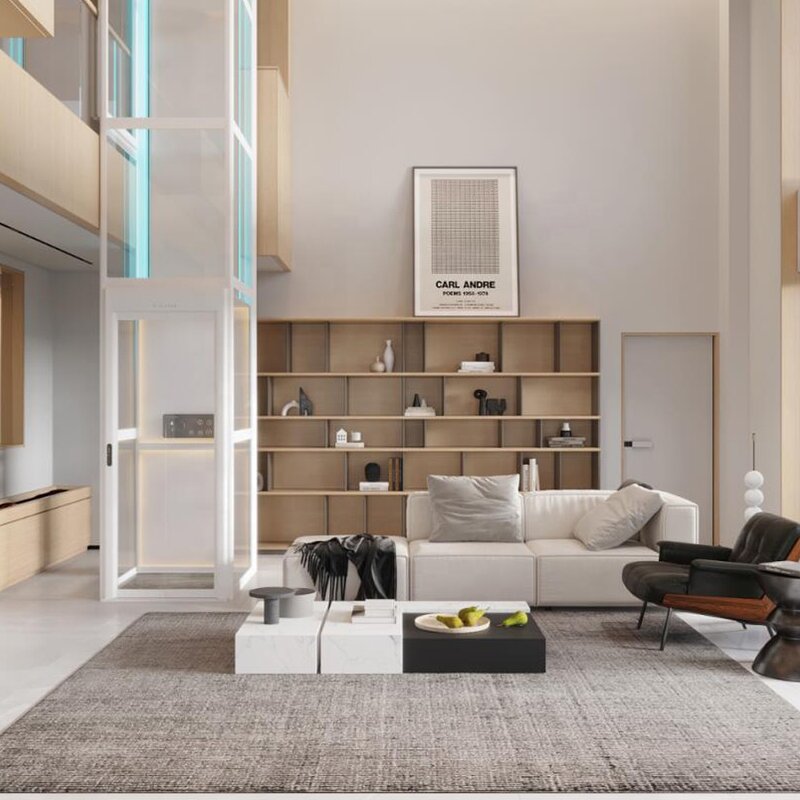 Passenger Elevator Supplier - 630 kg 8 Persons Panoramic