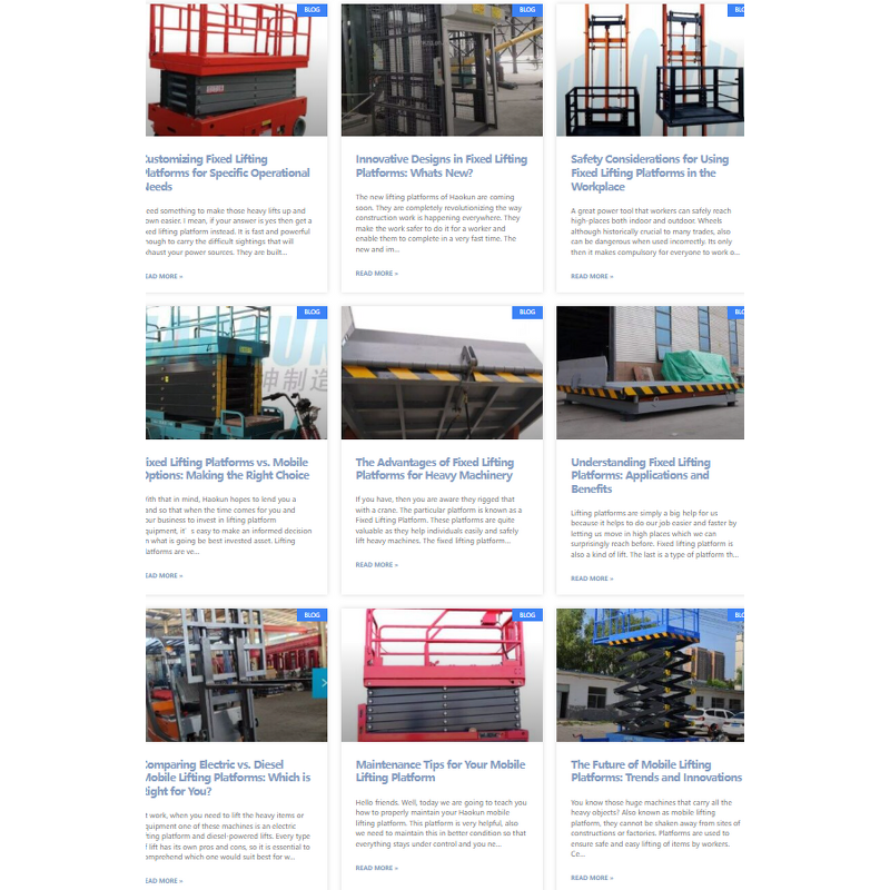 Passenger Elevator Manufacturer - Hot Sell 400kg Customized