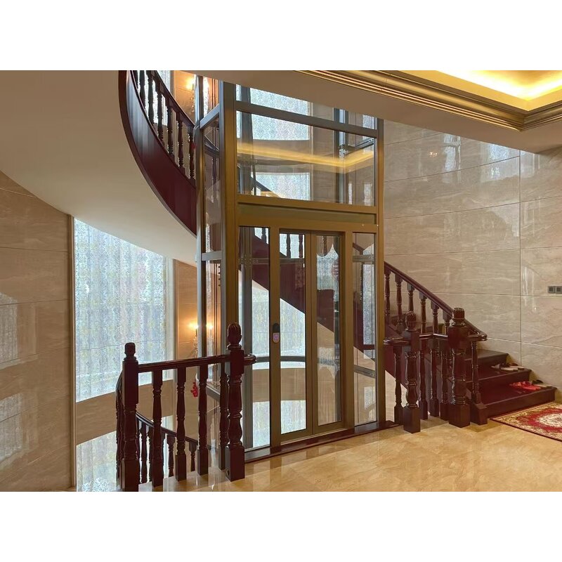 Passenger Elevator Supplier - 630 kg 8 Persons Panoramic