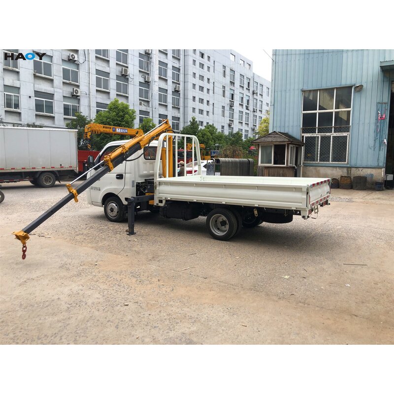 Hydraulic Remote Control Crane Manufacturer - HAOY Self Loading