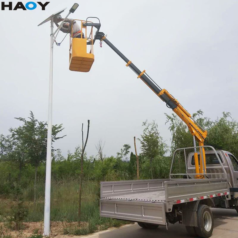 Light Cargo Truck Supplier - with Mini Crane for Sale