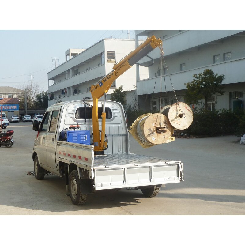 HAOY Crane Supplier - 1000kg Small Pickup Factory Price