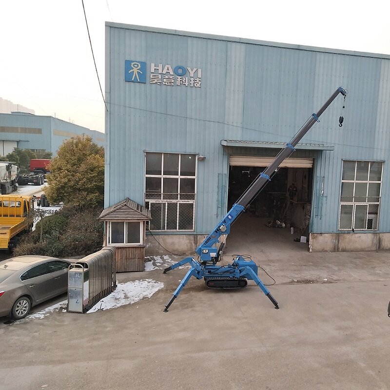 Detachable Crawler Crane Supplier - China Crane HAOY 3 TON
