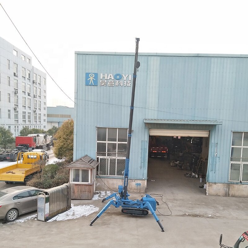 3 Ton Mini Crawler Crane Supplier - Mobile with Radio Control