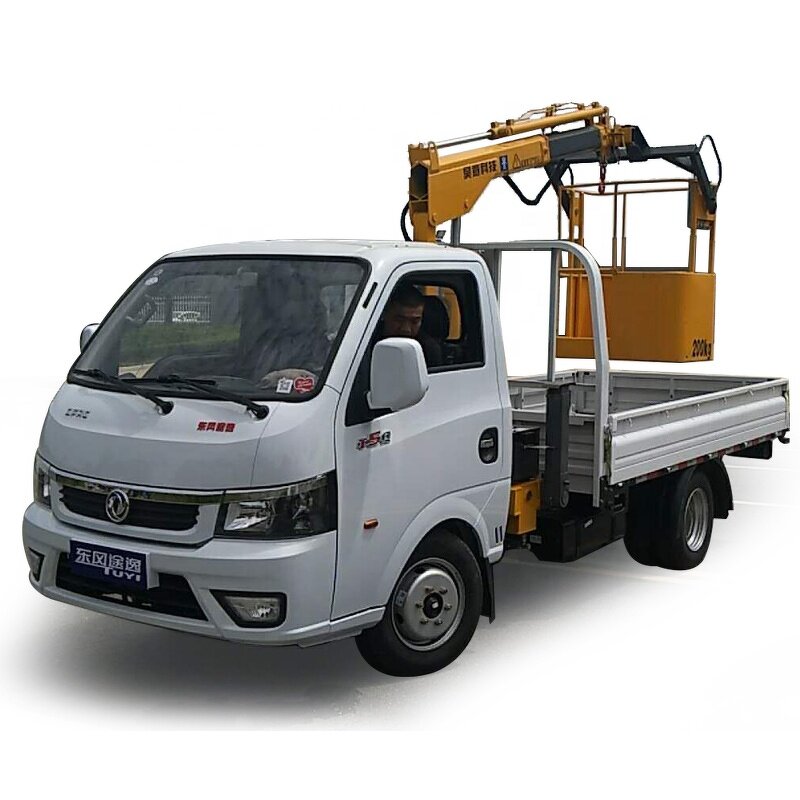 DC12V Electric Mini Crane Supplier - 1000kg Small Truck