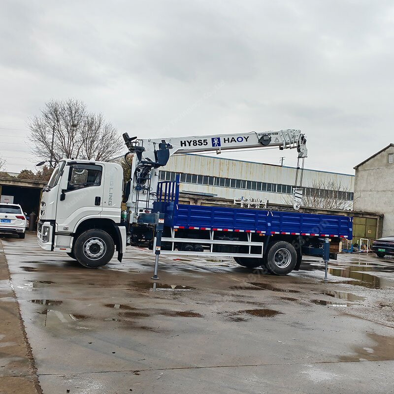 Remote Control Mini Crane Manufacturer - HAOY 1Ton/2Ton