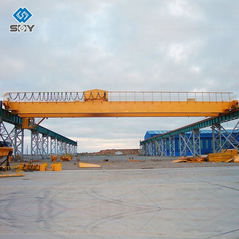 Electric Mobile Overhead Crane Manufacturer - New Double Girder