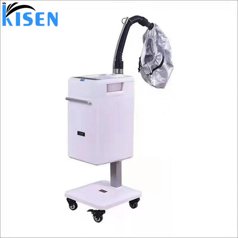 Kisen Home Steamer Hair Beauty Salon with Stand Steamer Hair Machine Professional Micro-mist Hair Spa Machine 220V 110V