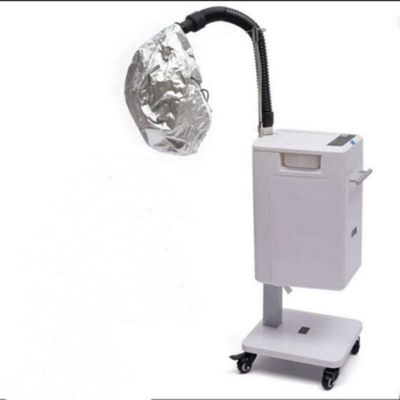 Kisen Home Steamer Hair Beauty Salon with Stand Steamer Hair Machine Professional Micro-mist Hair Spa Machine 220V 110V