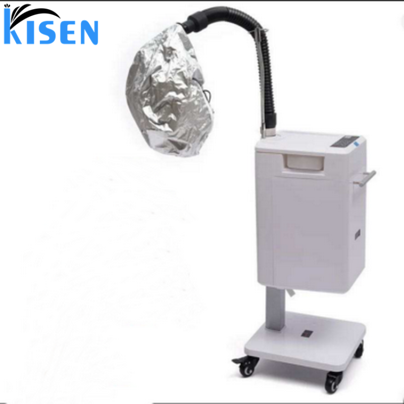 Kisen Home Steamer Hair Beauty Salon with Stand Steamer Hair Machine Professional Micro-mist Hair Spa Machine 220V 110V