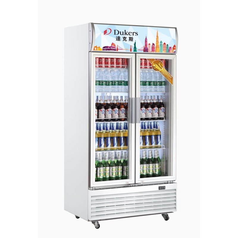 Ice Cream Display Freezer Manufacturer - Commercial for Shop