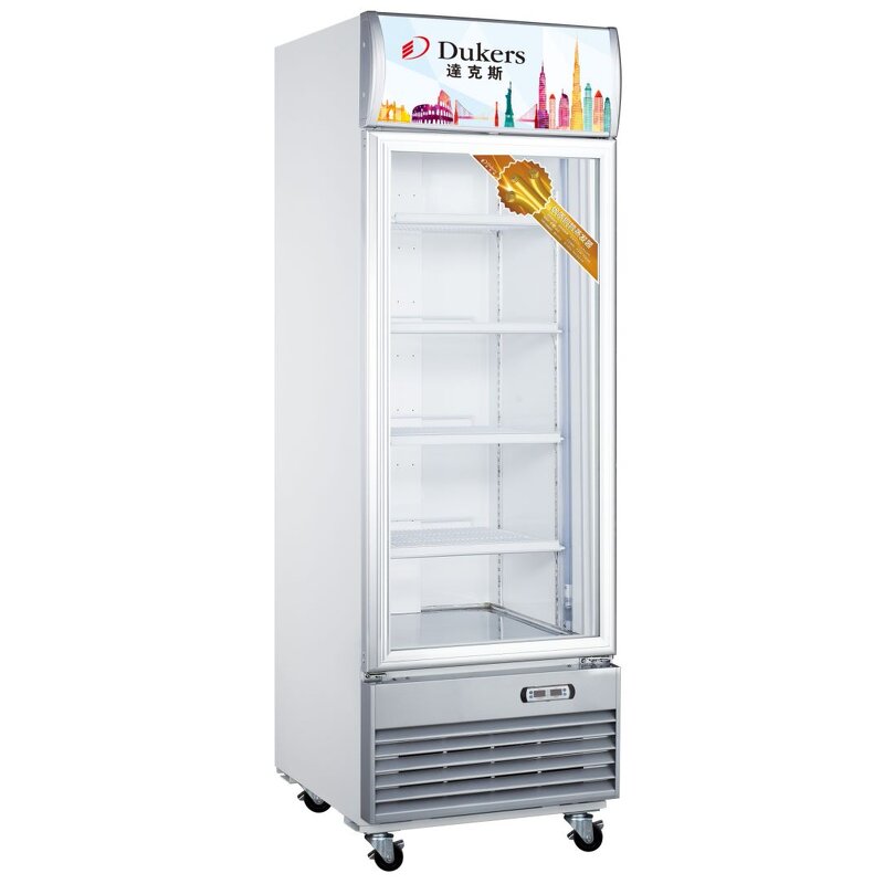 Ice Cream Display Freezer Manufacturer - Commercial for Shop