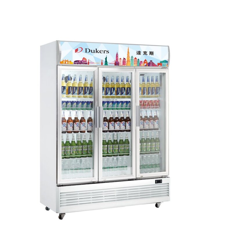 Ice Cream Display Freezer Manufacturer - Commercial for Shop