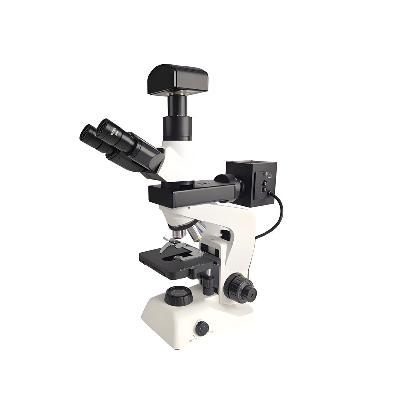 Automatic Grinder Polisher Manufacturer - Single Disc Lab Equipment