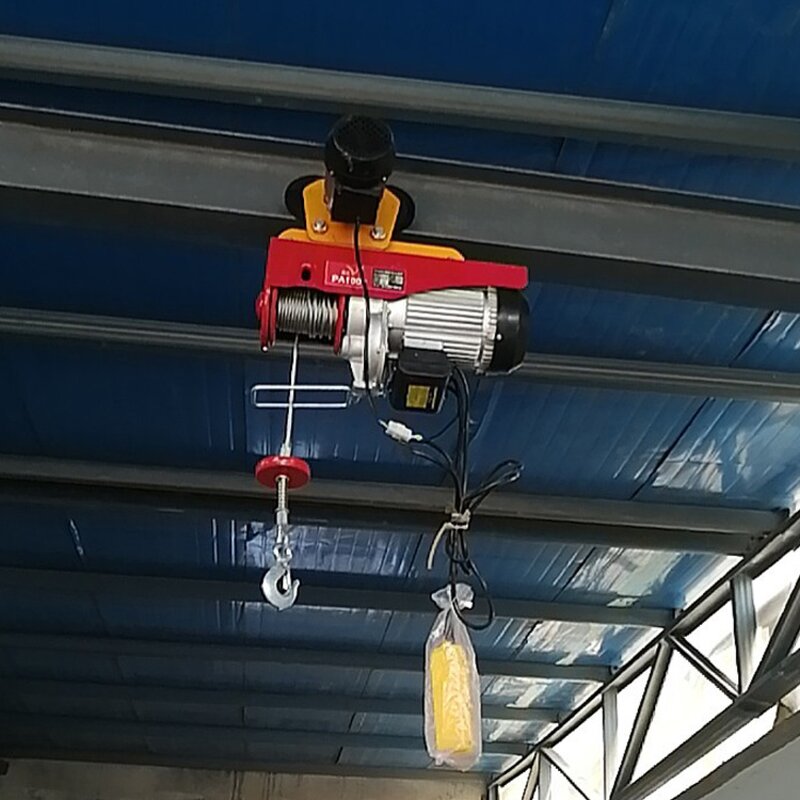 Mini Electric Hoist Manufacturer - Factory Direct 100kg for