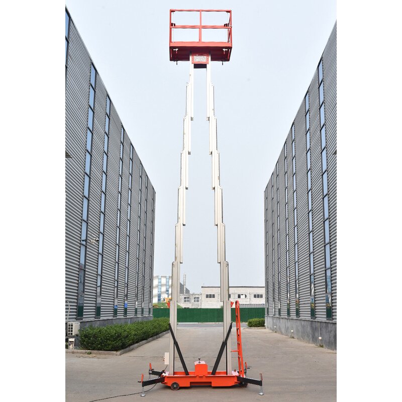 Electric Scaffolding Lift Supplier - New Design 200-300kg