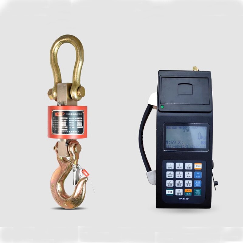 3t Crane Scale Manufacturer - with Printer Models