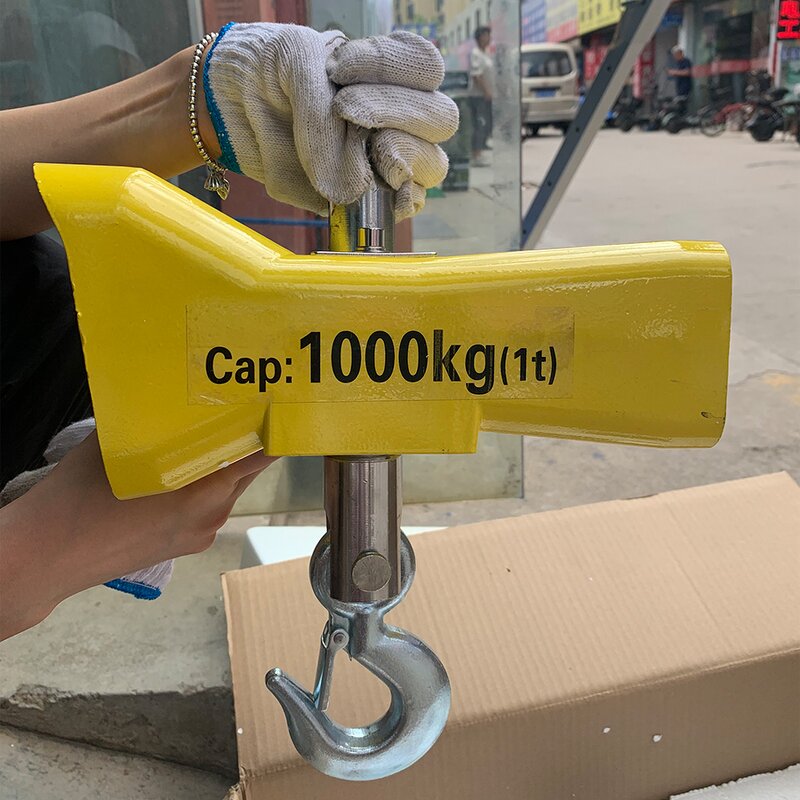 Digital Hanging Scale Manufacturer - 3 Ton Electronic Crane