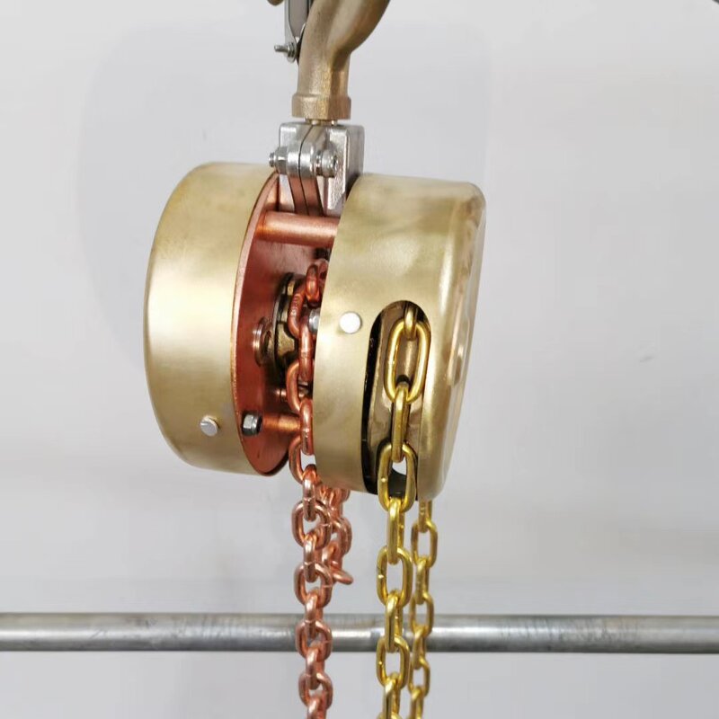 Flame Retardant Chain Block Supplier - 0.5-25T Explosion Proof