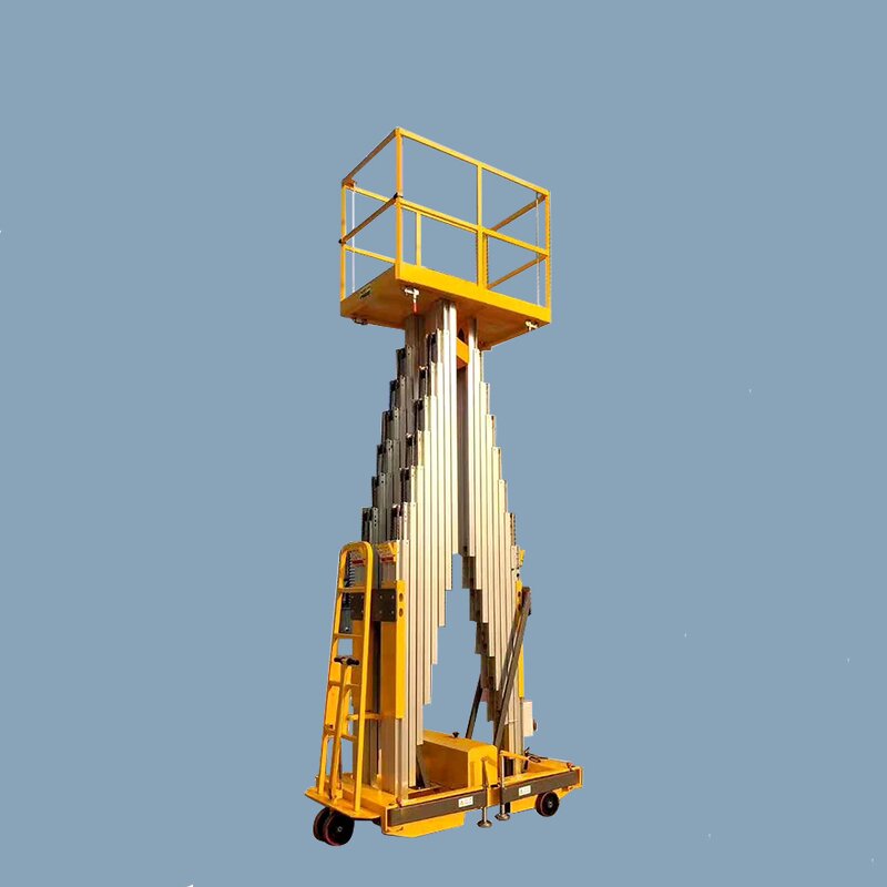 Portable Vertical Lift Supplier - Factory Direct 100kg 4-18m