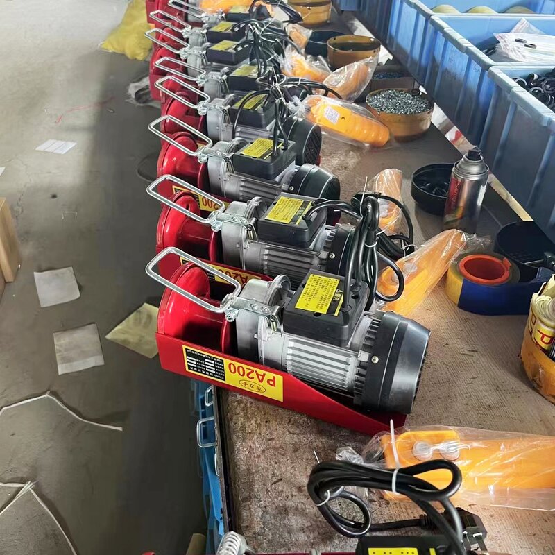 Mini Electric Hoist Supplier - 150kg 500kg Double Wire Rope