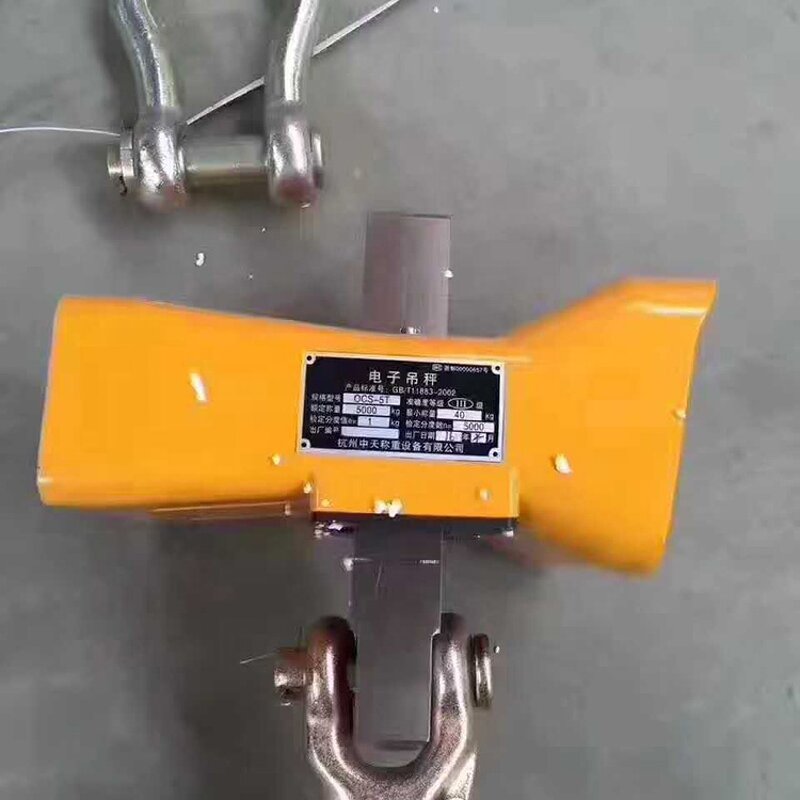 Digital Hanging Scale Manufacturer - 3 Ton Electronic Crane