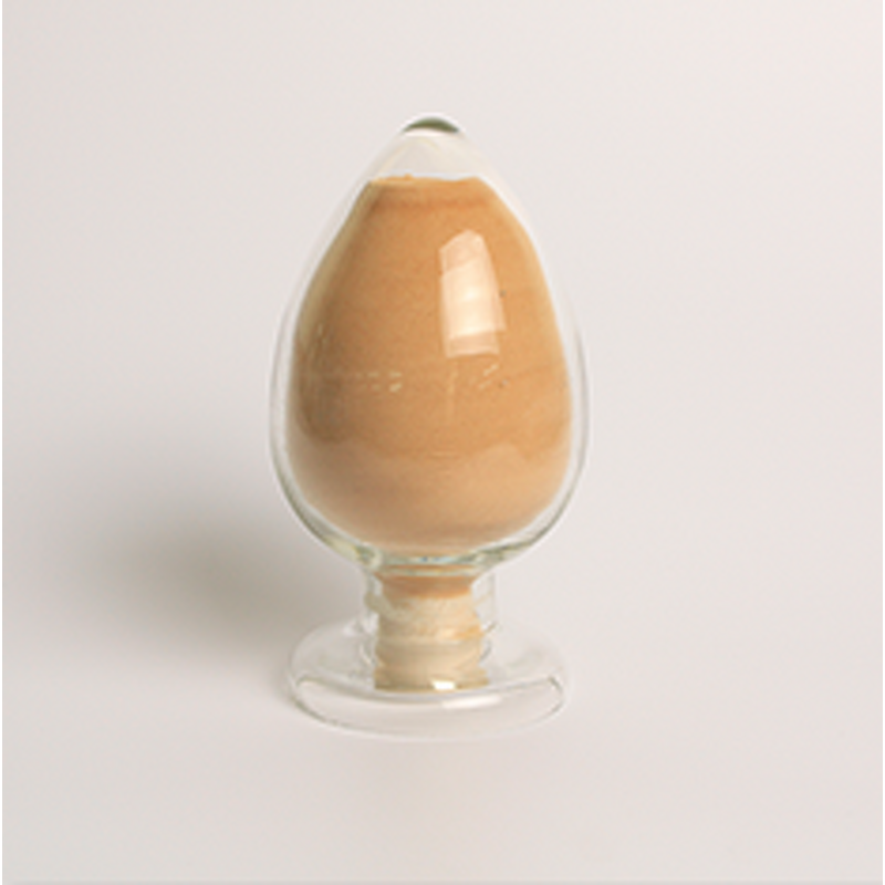 Cellulase Enzyme Manufacturer - Trichoderma Reesei Food Industrial Grade