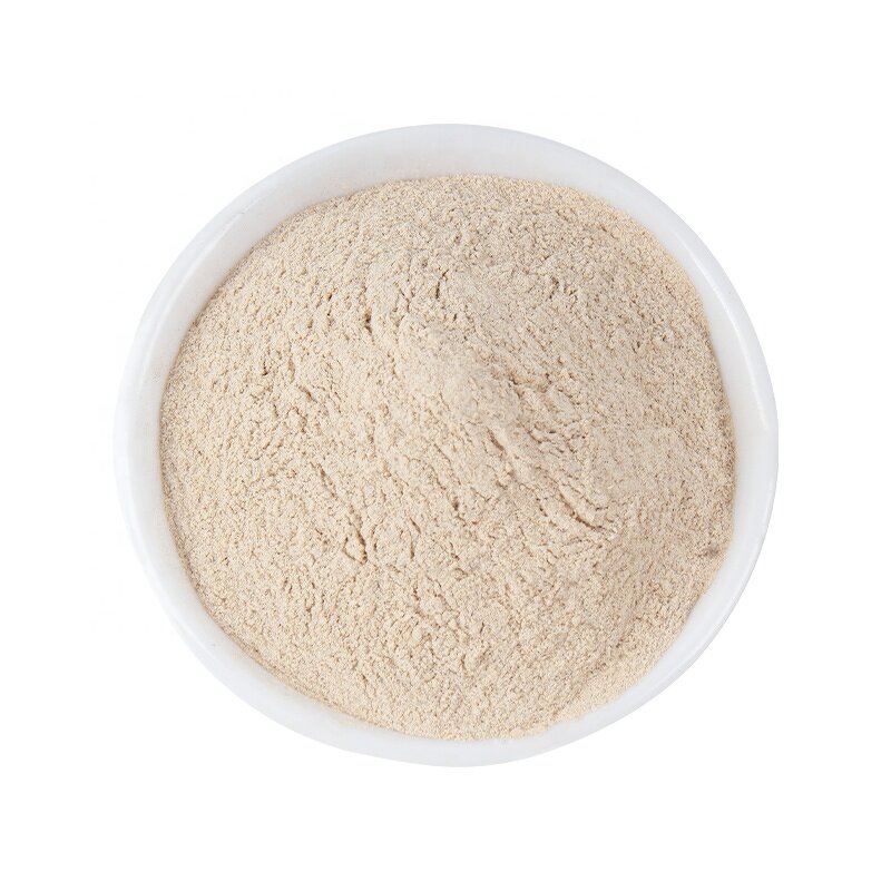 Bacillus Subtilis Supplier - 20-100 Billion CFU/G Spore Count