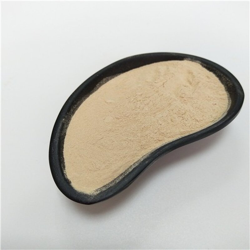 Bacillus Subtilis Supplier - 20-100 Billion CFU/G Spore Count