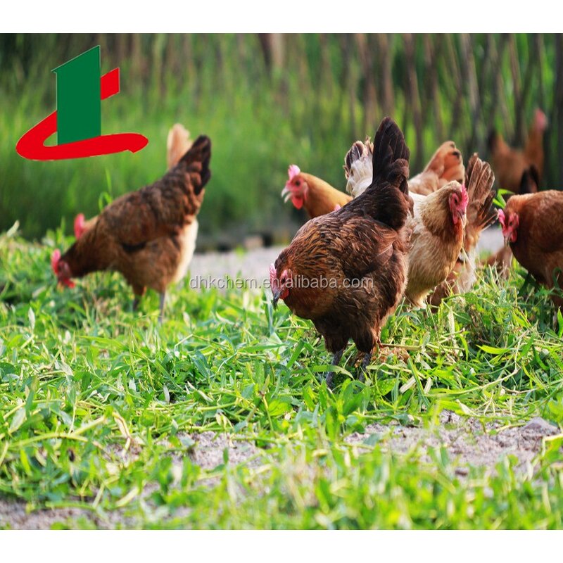 Enramycin Premix Supplier - 4% or 8% Feed Additive Factory