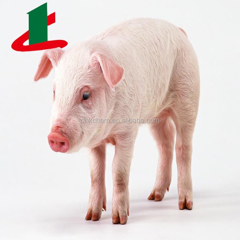 Enramycin Premix Supplier - 4% or 8% Feed Additive Factory