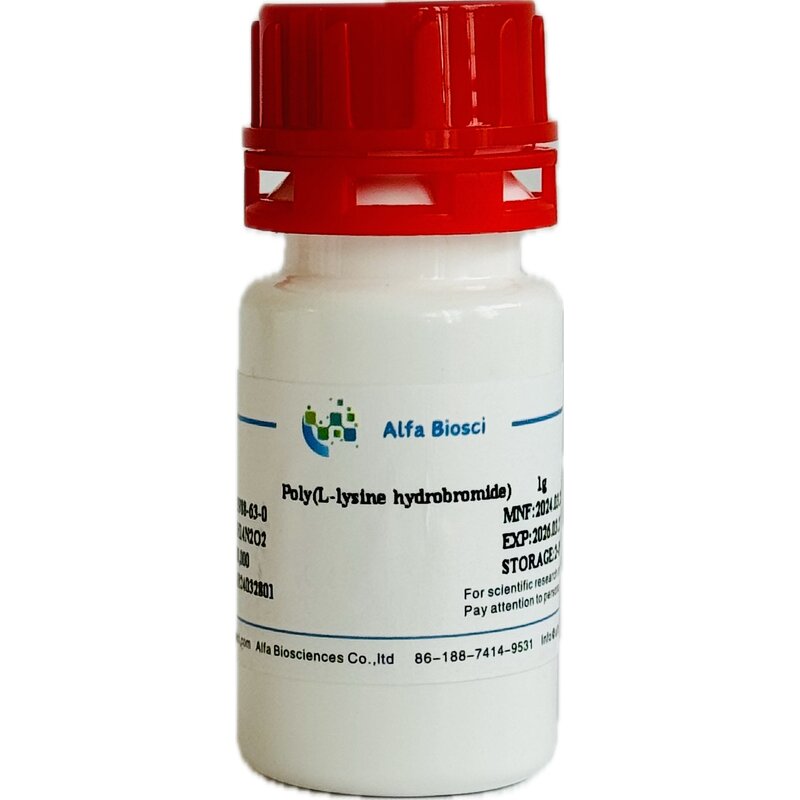 Betaine Hydrochloride Supplier - CAS 590-46-5