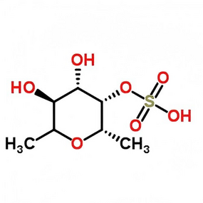 Fucoidan Powder Manufacturer - 85% CAS 9072-19-9