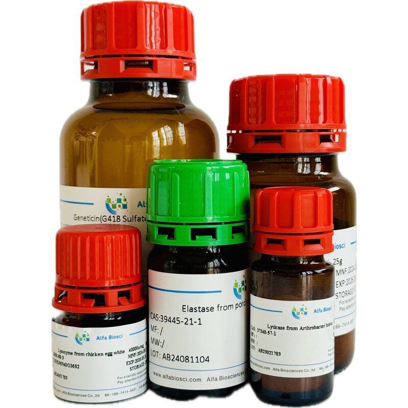 Pyronin Y Supplier - CAS 92-32-0 Biological Stain