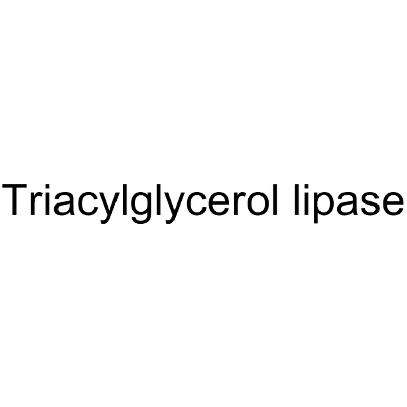 Lipase Manufacturer - CAS 9001-62-1 BioReagent