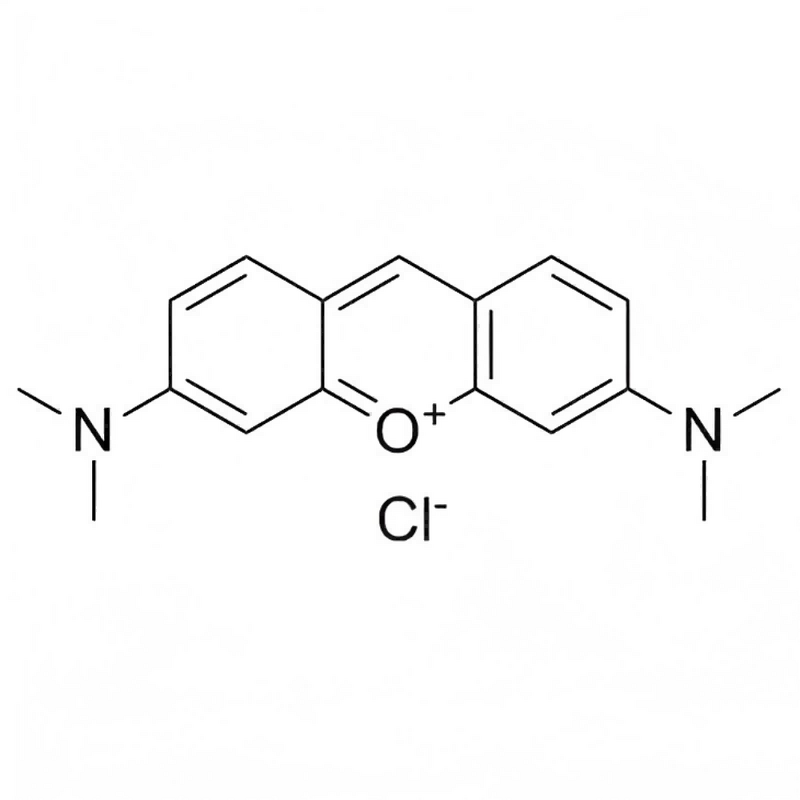 Pyronin Y Supplier - CAS 92-32-0 Biological Stain