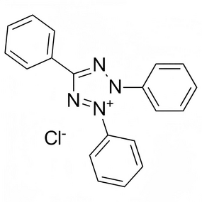 TTC Manufacturer - Tetrazolium Chloride CAS 298-96-4