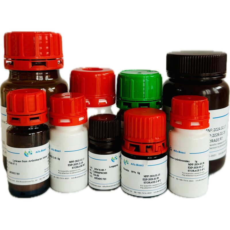 Zein Powder Manufacturer - CAS 9010-66-6