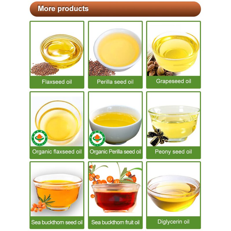 Sea Buckthorn Fruit Extract Factory - Food Grade Anthocyanidins