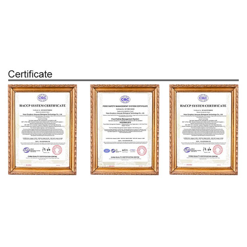 Sea Buckthorn Fruit Extract Factory - Food Grade Anthocyanidins