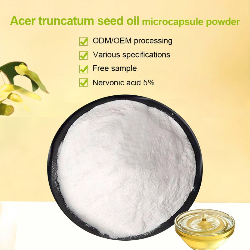 Acer Truncatum Seed Oil Powder Factory - 50% Water Soluble