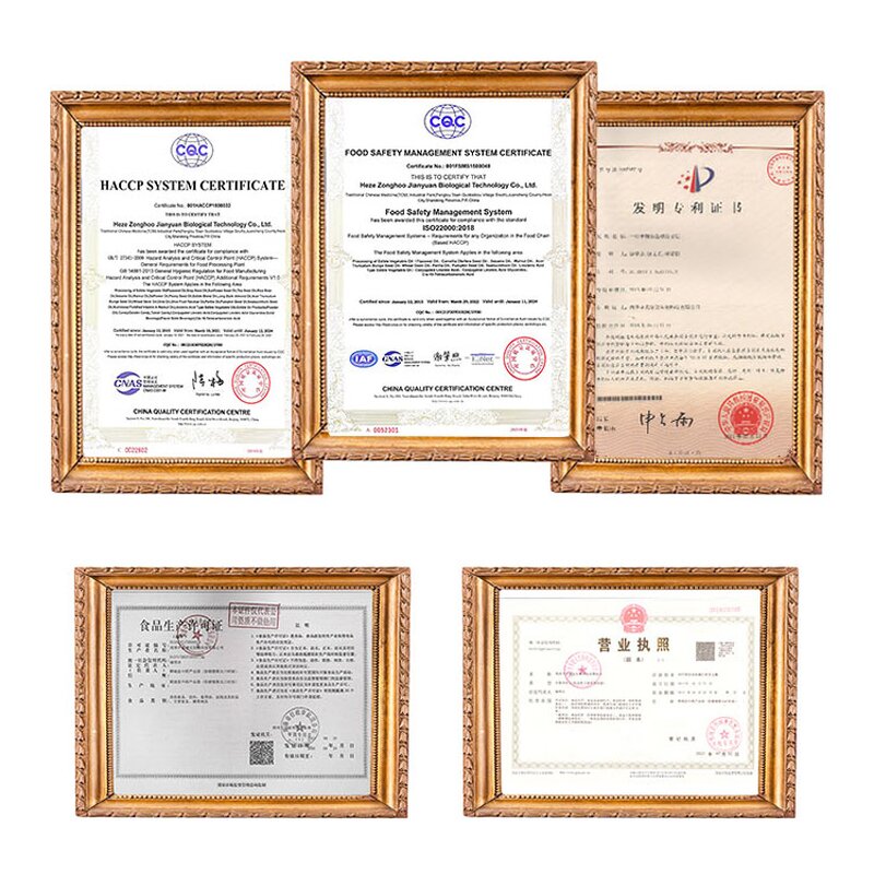 Nervonic Acid 98% Manufacturer - Acer Truncatum Seed Extract