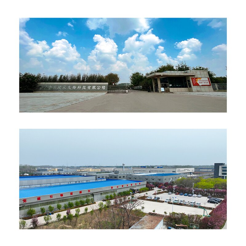 Grapeseed Oil Manufacturer - 100% Natural Food Grade