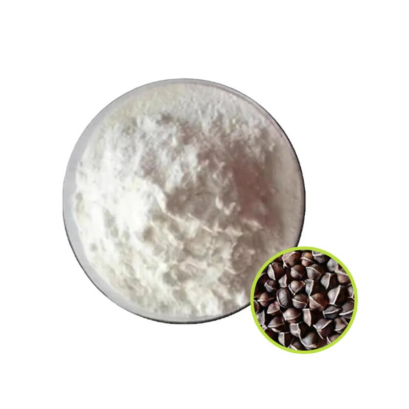 Acer Truncatum Seed Oil Powder Factory - 50% Water Soluble